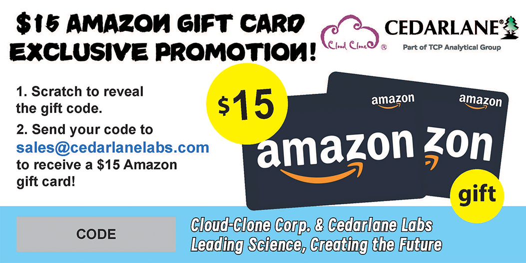 Amazon Gift Card Promotion