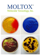 Moltox Bacterial Media Brochure