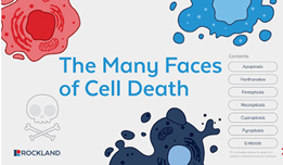 Cell Death